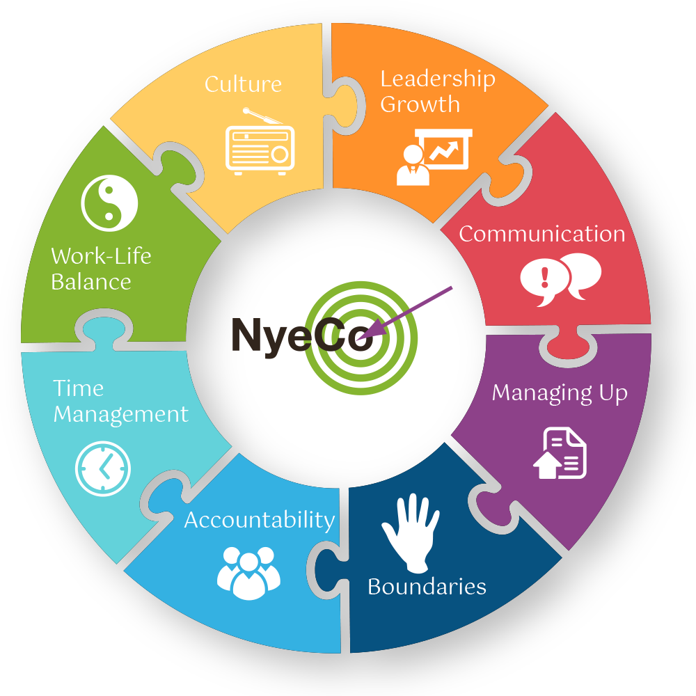 NyeCo Infographic